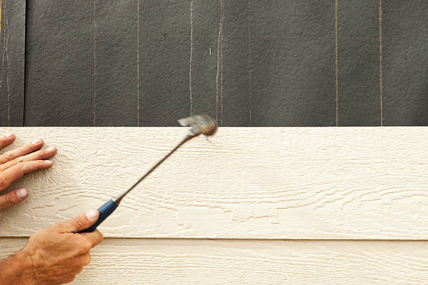 Affordable Siding Repair and Maintenance Services in Folsom, CA